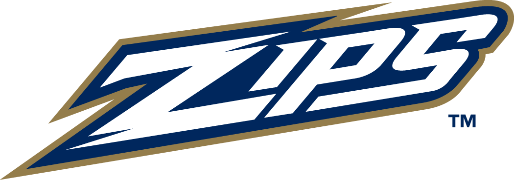 Akron Zips 2002-Pres Wordmark Logo v4 iron on transfers for clothing